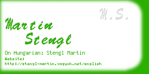 martin stengl business card